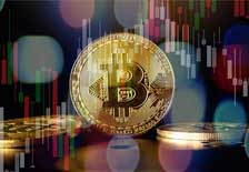 Manfradytrade opinie: platforma do udanego handlu