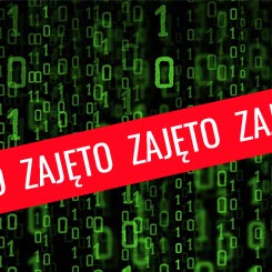 Egzekucja z praw majtkowych do domeny internetowej