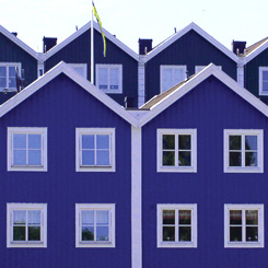 fot. hermann pixabay.com