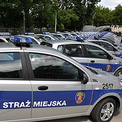 ami przepisy drogowe, ale nic im za to nie grozi...